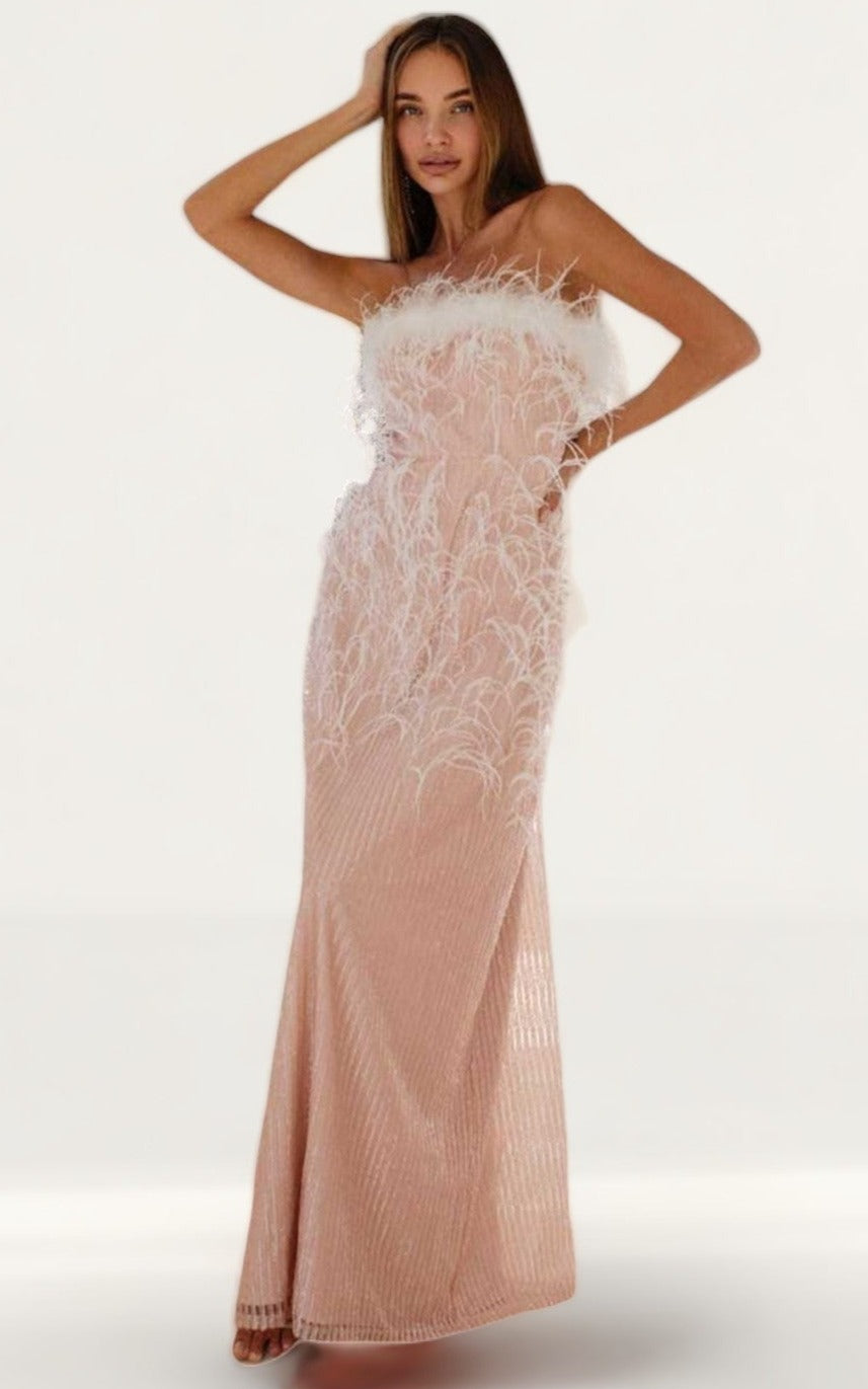Anne Louise Boutique Rosa Feather Gown